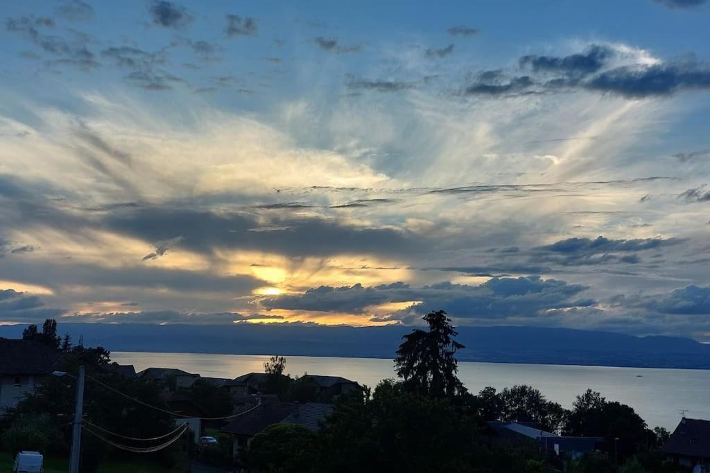 Appart Cosy Avec Vue Sur Le Lac Leman Евіан-ле-Бен Екстер'єр фото